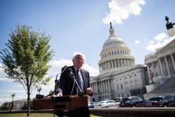 Progressives Fight Democratic Establishment to Join Bernie Sanders in Senate Progressives Fight Democratic Establishment to Join Bernie Sanders in Senate
