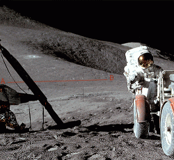 Did Elon Musk just confirm that the moon landings were faked? Did Elon Musk just confirm that the moon landings were faked?