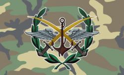 U.S-Led Coalition Shoots Down Syrian Warplane U.S-Led Coalition Shoots Down Syrian Warplane