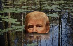 Trump Advisers Call For A 'Purge' Of Obama Appointees