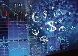 The One Asset Class that Matters The One Asset Class that Matters