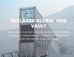 The Arctic Doomsday Seed Vault To Save The World... Has Flooded Thanks To Global Warming The Arctic Doomsday Seed Vault To Save The World... Has Flooded Thanks To Global Warming
