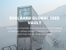 The Arctic Doomsday Seed Vault To Save The World... Has Flooded Thanks To Global Warming