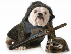 From Shakespeare-For-Dogs To Digital-Puppets, Senator Details 100 Examples Of Government Waste In 2017 From Shakespeare-For-Dogs To Digital-Puppets, Senator Details 100 Examples Of Government Waste In 2017