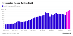 Every Citizen Should Own 3.5 Ounces of Gold Bullion - Central Bank