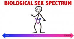 Virginia University Publishes "LGBTQQIAAPP Terminology Guide" To Help Snowflakes Determine Their Gender Virginia University Publishes "LGBTQQIAAPP Terminology Guide" To Help Snowflakes Determine Their Gender