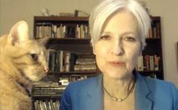 More Bad News For Jill Stein As Pennsylvania Judge Blocks Recount Petitions