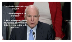 Asininity From McCain "Send Weapons To Ukraine"