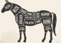 Do We Really Need A Federal Ban On Horse Meat?