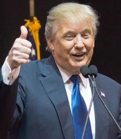You Got Trumped! Winning horse in presidential race was Trojan 