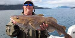 Scientists Shocked As Fisheries Collapse On West Coast: "It's The Worst We've Seen" Scientists Shocked As Fisheries Collapse On West Coast: "It's The Worst We've Seen"