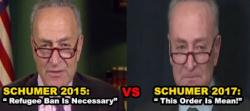 And The Oscar Goes To... Chuck Schumer