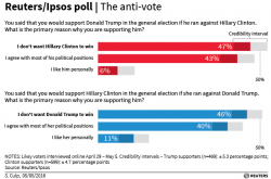 Americans Admit Their Main Reason To Vote Trump Americans Admit Their Main Reason To Vote Trump
