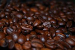 NVDA, Cotton, Orange Juice, Coffee, Sugar, Cocoa, Lumber (Video)