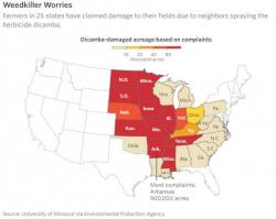 Monsanto In Court Again As Powerful New Herbicide Accidently Kills 3.6 Million Acres Of Crops