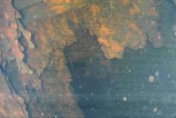 Fukushima's "Swimming Robot" Captures First Images Of 'Massive Deposits' Of Melted Nuclear Fuel Fukushima's "Swimming Robot" Captures First Images Of 'Massive Deposits' Of Melted Nuclear Fuel