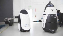 Humans Fight Back: San Fran Security Robot Attacked, Knocked Over, Smeared With Feces 