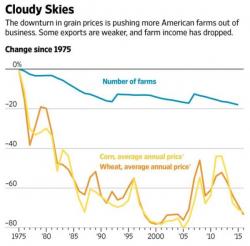 Midwest Farm Bubble Continues Collapse As Farm Incomes Expected To Crash In 2017 Midwest Farm Bubble Continues Collapse As Farm Incomes Expected To Crash In 2017