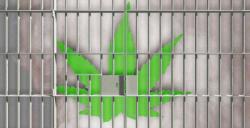 Ex-DEA Spokeswoman: 'Marijuana Is Safe', Kept Illegal Because It's A 'Cash Cow'