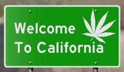 7 Reasons Why The US Canabis Industry Is About To Be "Rocked" 7 Reasons Why The US Canabis Industry Is About To Be "Rocked"