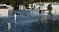 Hurricane Irma Released "250 Million Gallons Of Untreated Sewage" Into The Streets Of Florida 