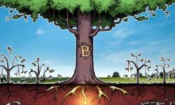 "It's Not Really About Bitcoin Price Surging, It's Fiat Currencies In Free Fall" "It's Not Really About Bitcoin Price Surging, It's Fiat Currencies In Free Fall"