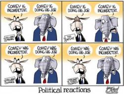 Politicians (Summed Up In 1 Cartoon)