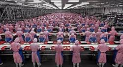 A Chinese Factory Slave Explains Why Manufacturing Jobs Are Never Coming Back To America A Chinese Factory Slave Explains Why Manufacturing Jobs Are Never Coming Back To America