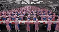 A Chinese Factory Slave Explains Why Manufacturing Jobs Are Never Coming Back To America