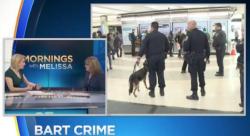 BART Withholds Video Of Attacks Over Concern About "Stereotypes"