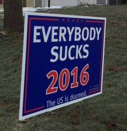 Summarizing The 2016 Elections In One Sign