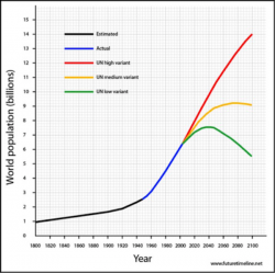 6 Charts That Show the Global Demographic Crisis Is Unfolding