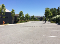 The Bustling Theranos Campus The Bustling Theranos Campus