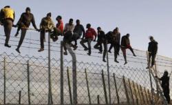 Trump Deploys Dozens Of Judges To Battle Massive Backlog Of Deportation Cases Trump Deploys Dozens Of Judges To Battle Massive Backlog Of Deportation Cases
