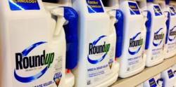 New Monsanto Emails Raise Questions On Safety Of RoundUp Products New Monsanto Emails Raise Questions On Safety Of RoundUp Products