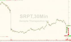 Sarepta Plunges 50% After FDA Rejects Key Drug Sarepta Plunges 50% After FDA Rejects Key Drug