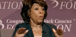 Maxine Waters Threatens To "Go And Take Out 'Moron' Trump", The Most "Dangerous President Ever"