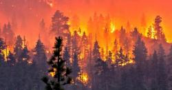 15 Shocking Videos Expose The Reality Of Surviving The California Wildfires 15 Shocking Videos Expose The Reality Of Surviving The California Wildfires