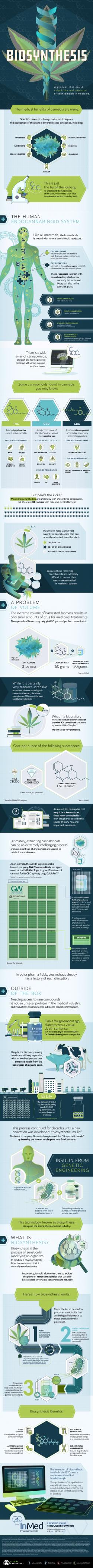 Visualizing The Science Behind The Medical Potential Of Cannabis