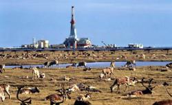 Trump's ANWR Move Could Spawn Epic Oil, Natural Gas Battle