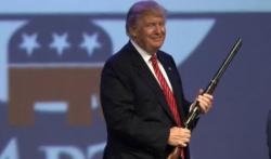 Why Gun Sales Have Declined Under Trump