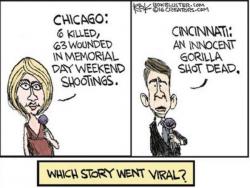America, Numb Or Dumb - Which Story Went Viral? America, Numb Or Dumb - Which Story Went Viral?