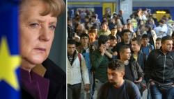 The Suicide Of Germany The Suicide Of Germany