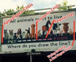 Why Congress Should Not Ban Cat and Dog Meat Why Congress Should Not Ban Cat and Dog Meat