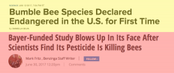 Globalism & Pesticides Are Behind Massive Honeybee Die-Off, Bayer Study Confirms Globalism & Pesticides Are Behind Massive Honeybee Die-Off, Bayer Study Confirms