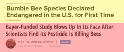 Globalism & Pesticides Are Behind Massive Honeybee Die-Off, Bayer Study Confirms