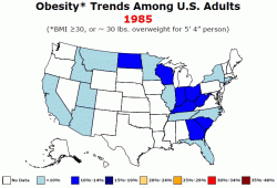 Americans Have Never Been Fatter: Obesity Rate Rises To Highest Level On Record