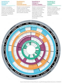 Emerging Markets Are Not All Created Equal