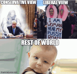 Conservatives vs Liberals 