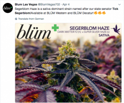 Jeff Sessions' Pot War Is Up In Smoke In Nevada Jeff Sessions' Pot War Is Up In Smoke In Nevada
